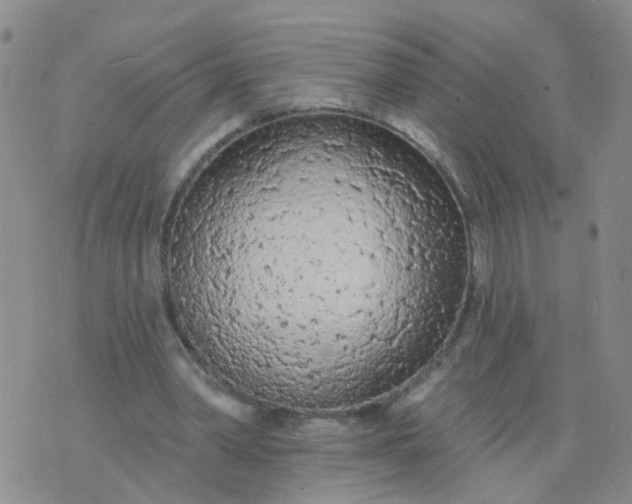 X0000074300390200609081922