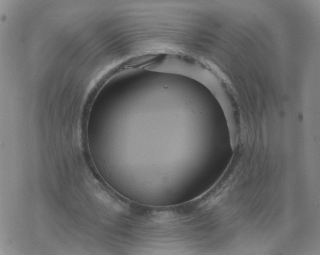 X0000074300391200609081922