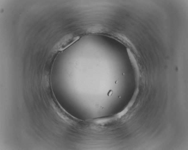 X0000074300393200609081922