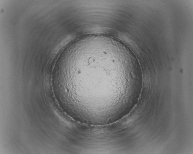 X0000074300394200609081922