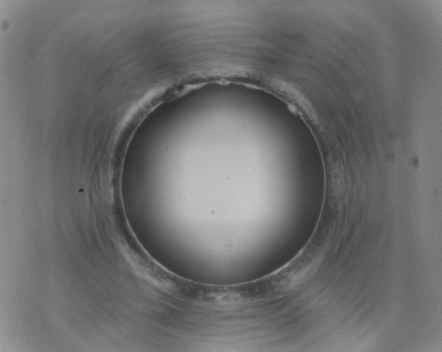 X0000074300395200609081922