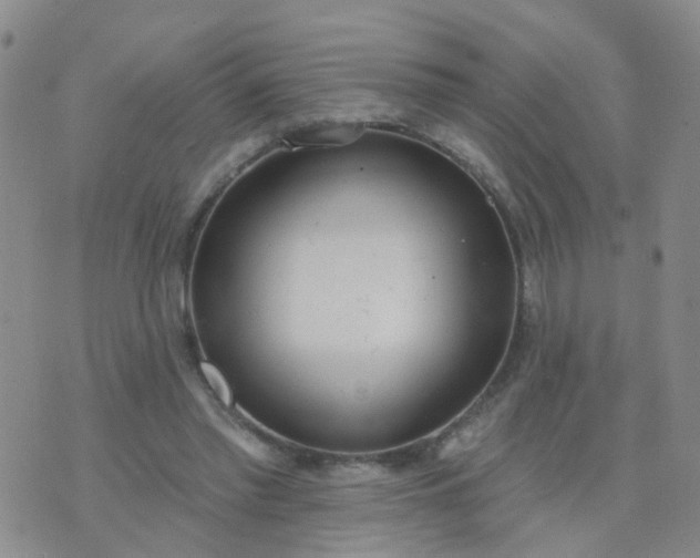 X0000074300397200609081922