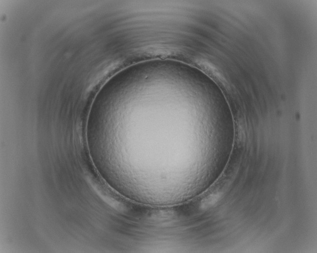 X0000074300398200609081922