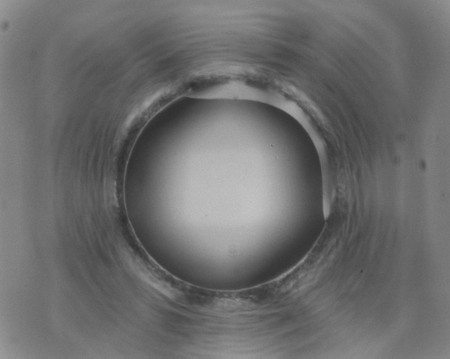 X0000074300399200609081922