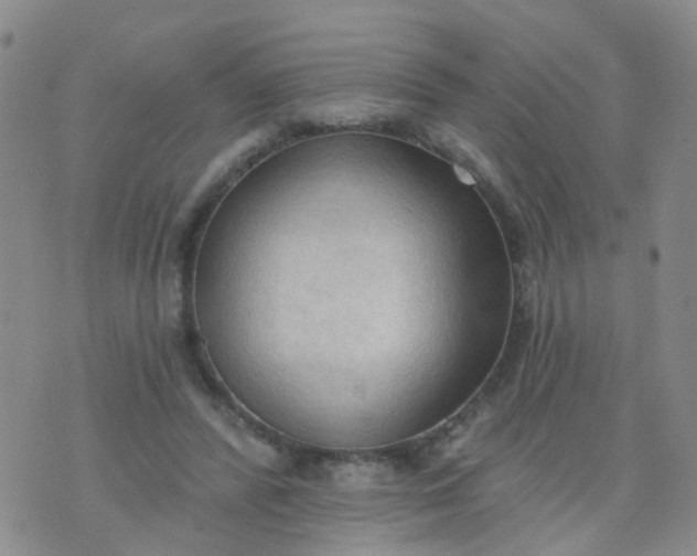 X0000074300400200609081922