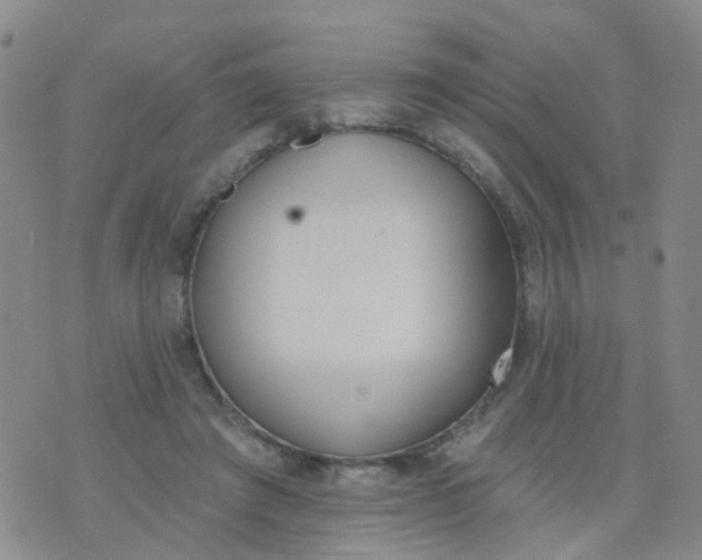 X0000074300401200609081922