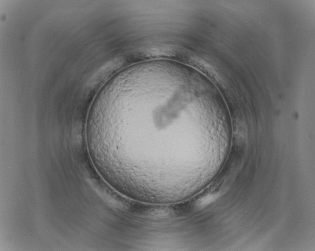 X0000074300402200609081922