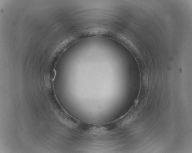 X0000074300403200609081922