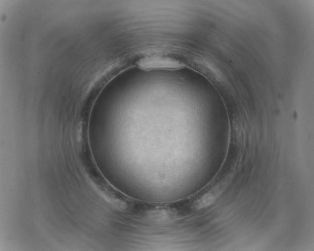 X0000074300404200609081922