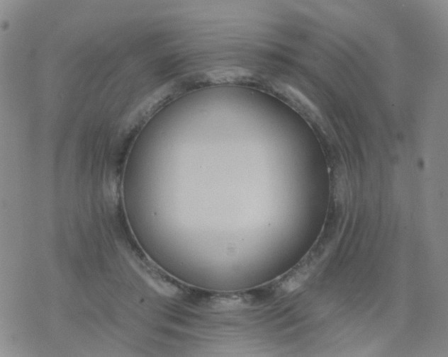 X0000074300405200609081922