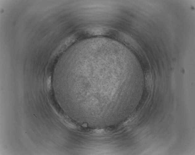 X0000074300406200609081922