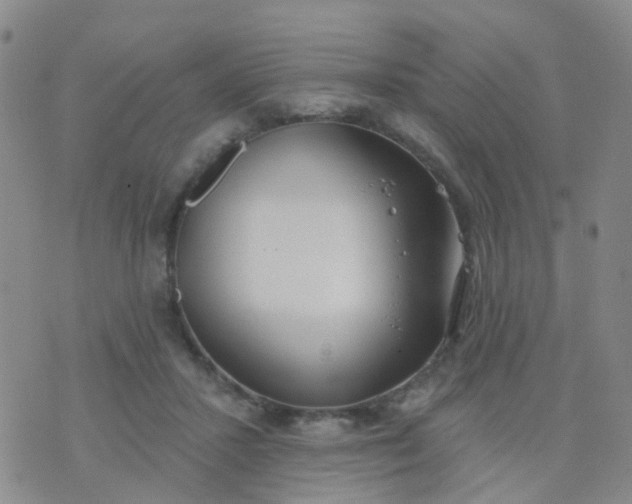 X0000074300407200609081922