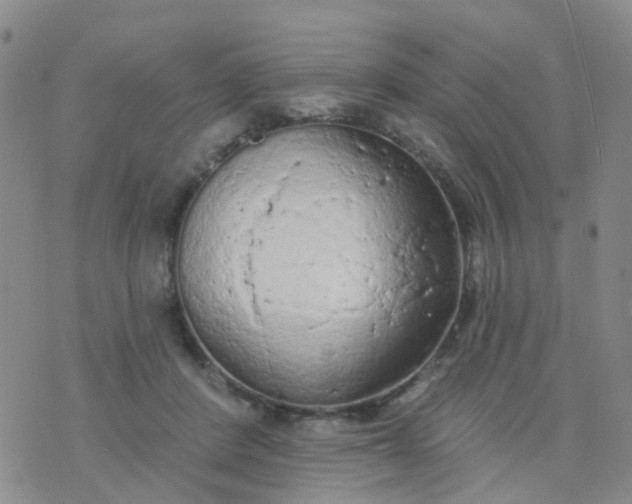 X0000074300408200609081922