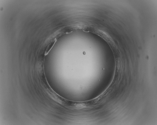 X0000074300409200609081922