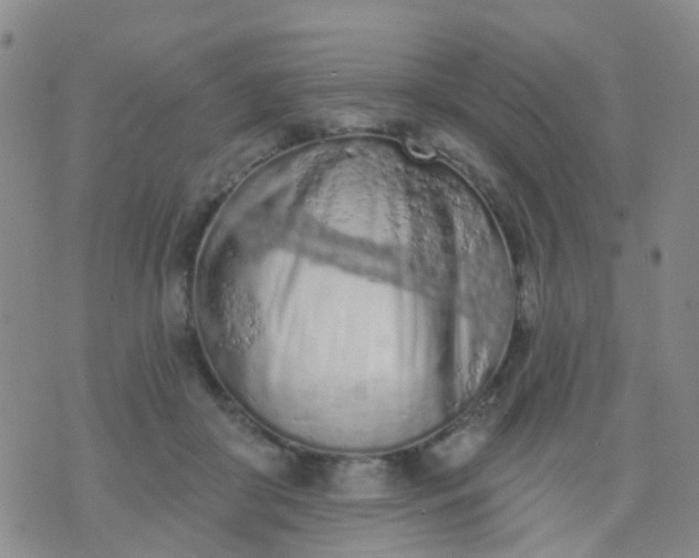 X0000074300410200609081922