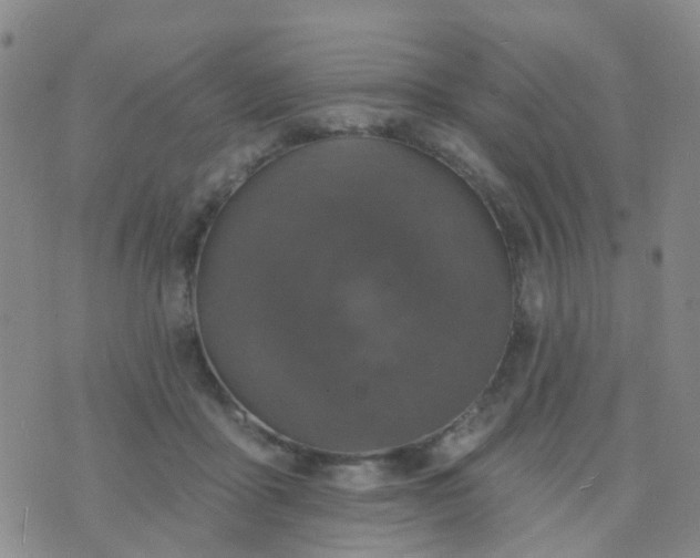 X0000074300411200609081922