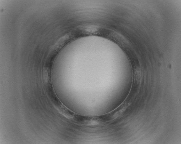 X0000074300412200609081922