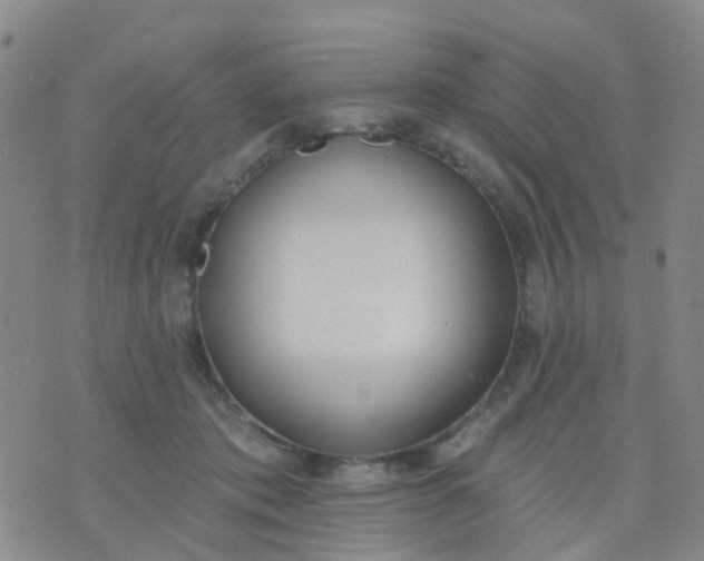 X0000074300413200609081922