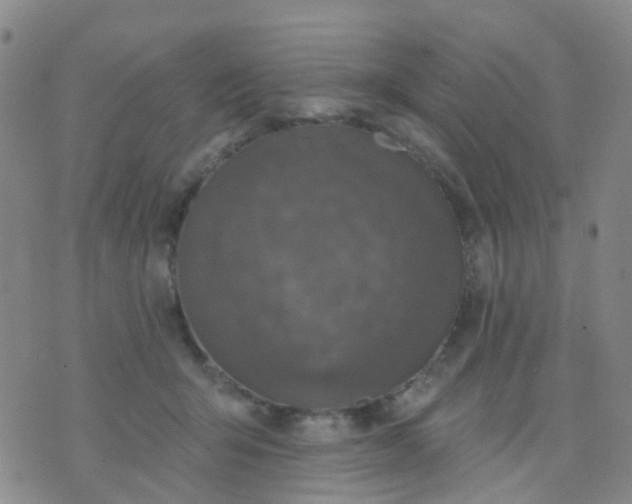 X0000074300415200609081922