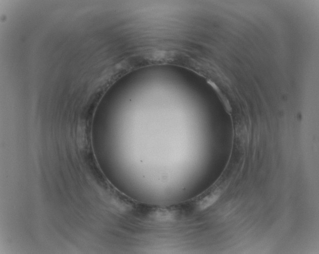 X0000074300416200609081922