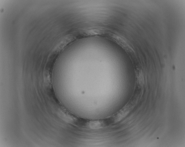 X0000074300418200609081922