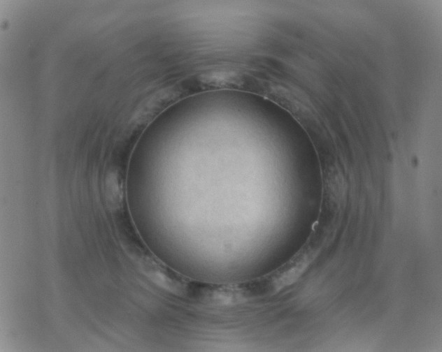 X0000074300420200609081922