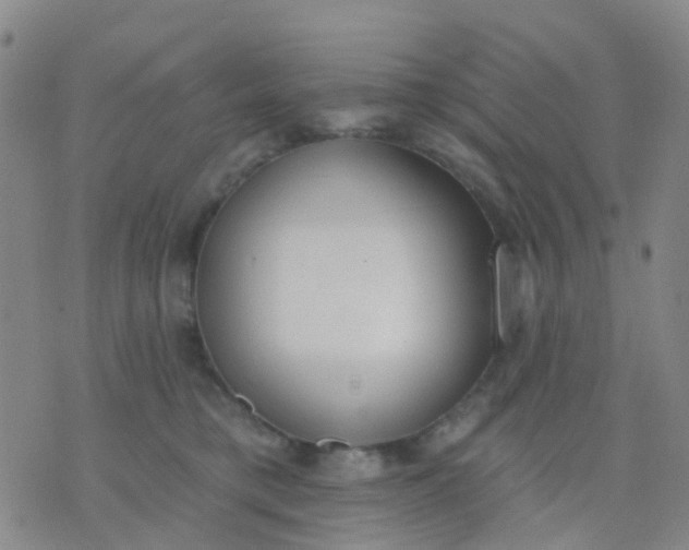 X0000074300421200609081922