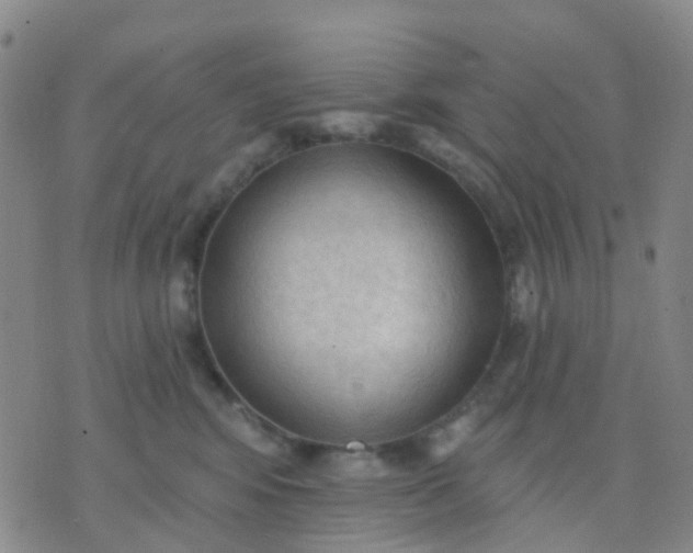 X0000074300424200609081922