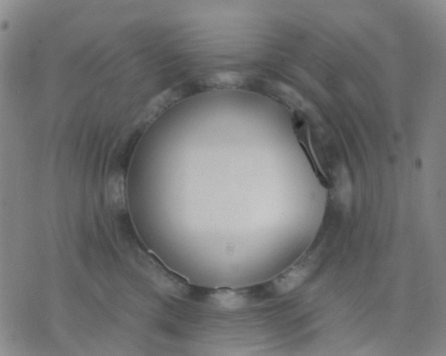 X0000074300425200609081922