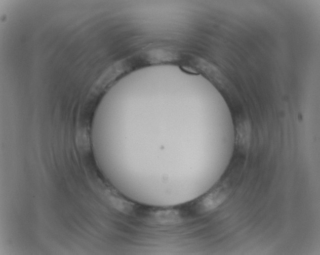 X0000074300426200609081922