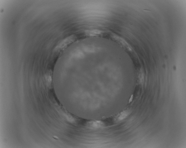 X0000074300427200609081922