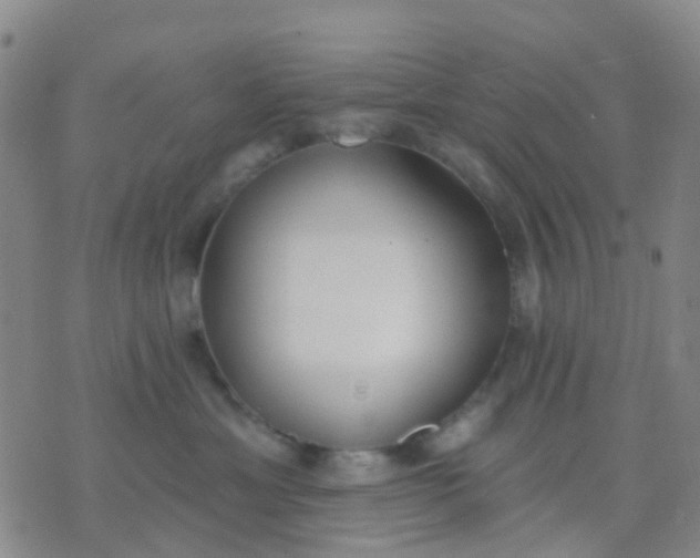 X0000074300429200609081922