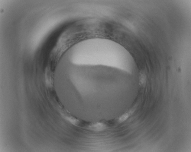 X0000074300431200609081922