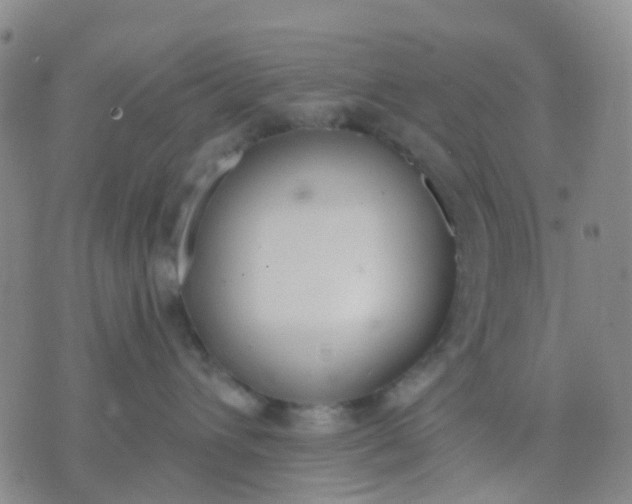 X0000074300432200609081922