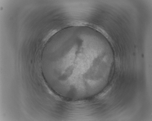 X0000074300433200609081921