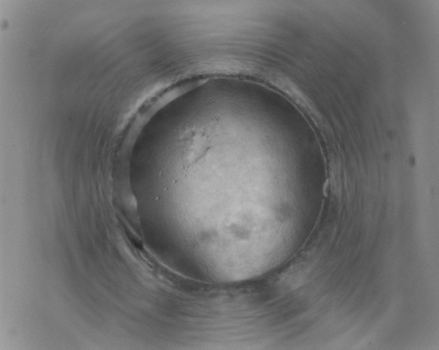 X0000074300434200609081921