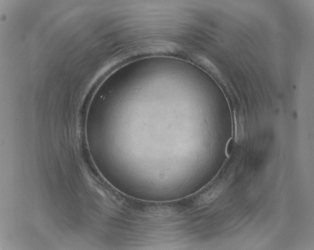 X0000074300435200609081921