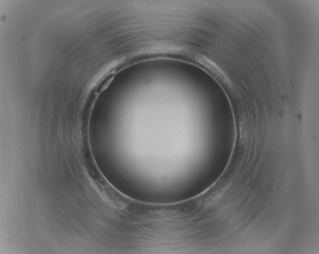 X0000074300436200609081921