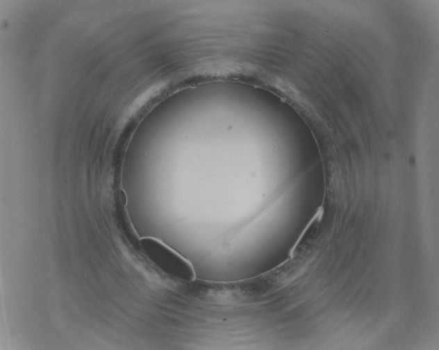 X0000074300440200609081921