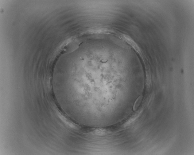 X0000074300441200609081921