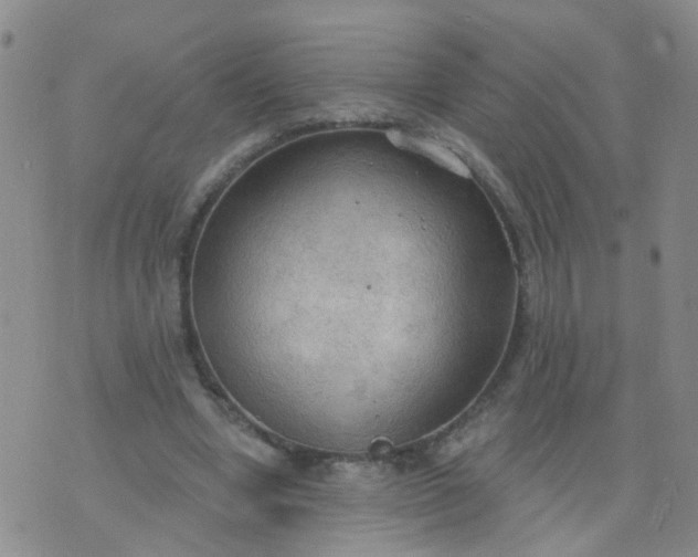 X0000074300442200609081921