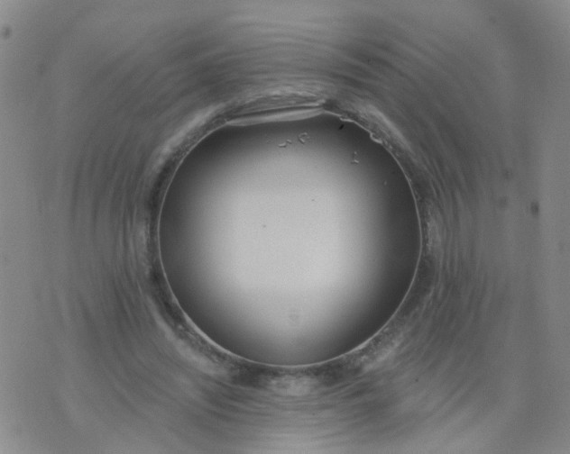 X0000074300444200609081921