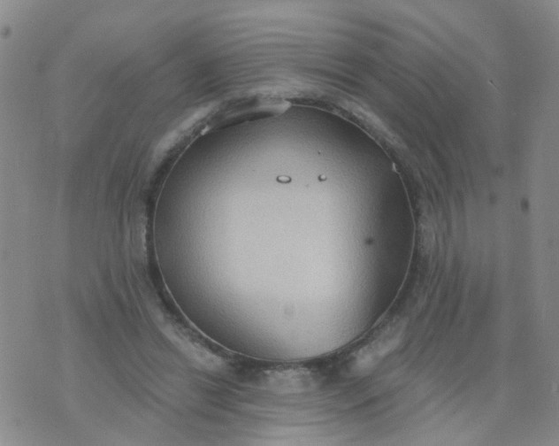 X0000074300446200609081921