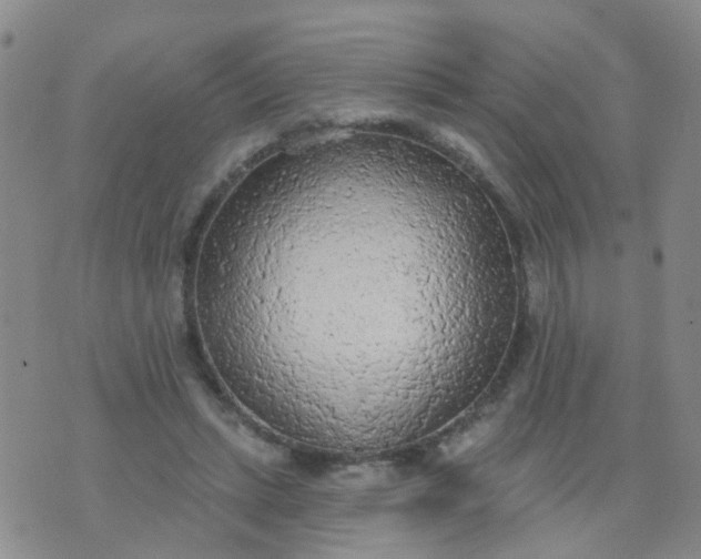 X0000074300447200609081921