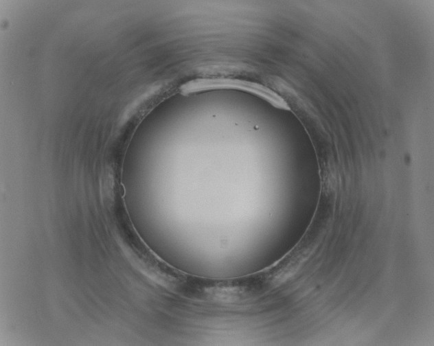 X0000074300448200609081921