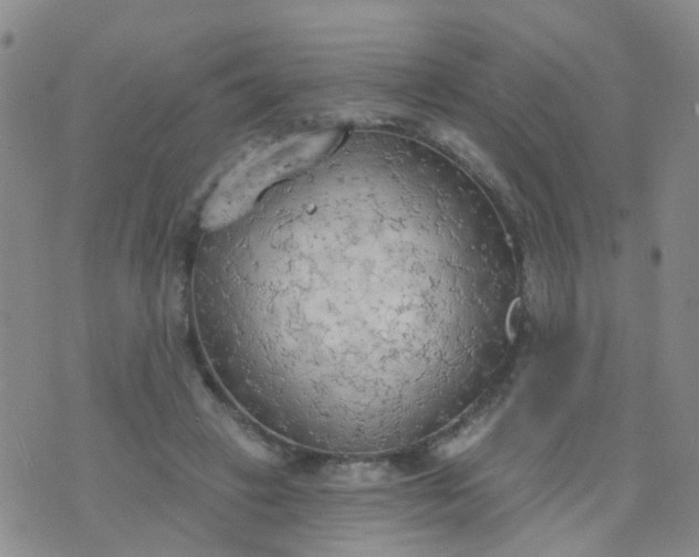 X0000074300449200609081921