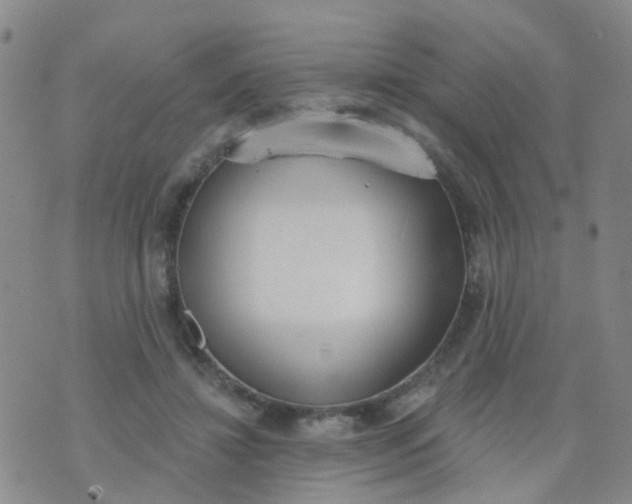 X0000074300452200609081921