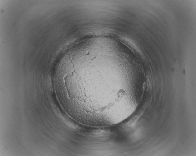 X0000074300453200609081921