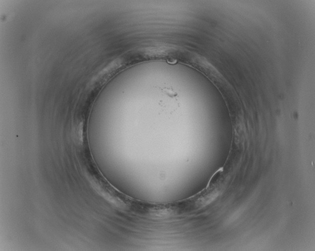 X0000074300454200609081921