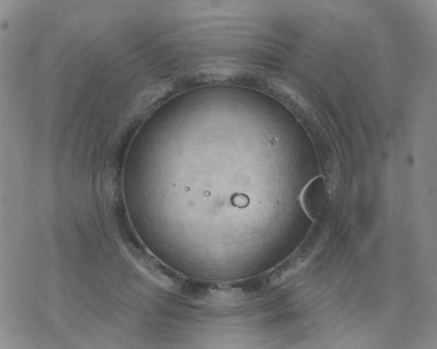 X0000074300455200609081921